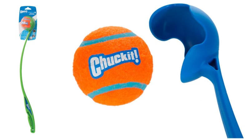 chuckit petsmart